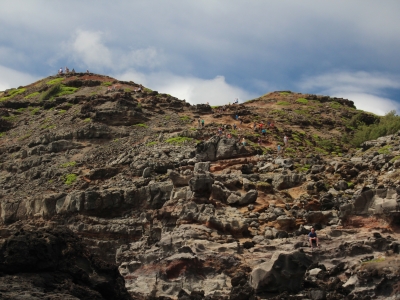 Had to climb down this to get from the road to the Nakalele Blowhole.