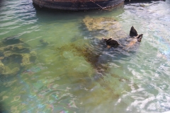 The wreckage isn't very deep. You can also see oil on the water.